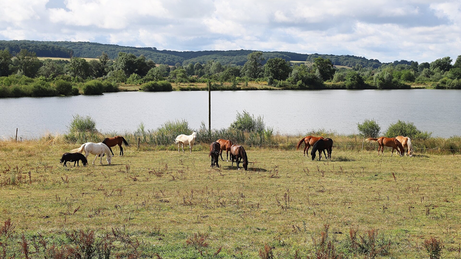 Naturellement visites : Visites du 9équin