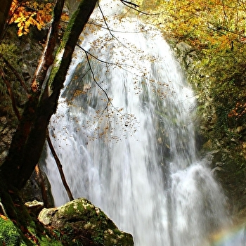 Randonnée pédestre : Forens - la cascade des Etrès - CHEZERY-FORENS