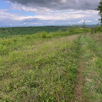 Le détour par Pipette