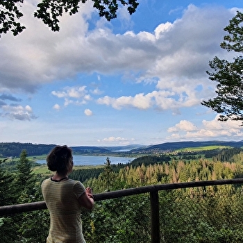 Belvédère des 2 Lacs - n°12 - REMORAY-BOUJEONS