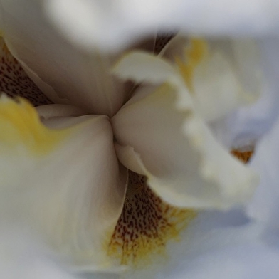 Voir l'invisible, sentir l'essentiel