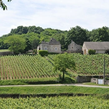 Meix Foulot - MERCUREY