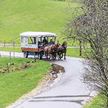 Centre Équestre Tinguely - LES ROUSSES