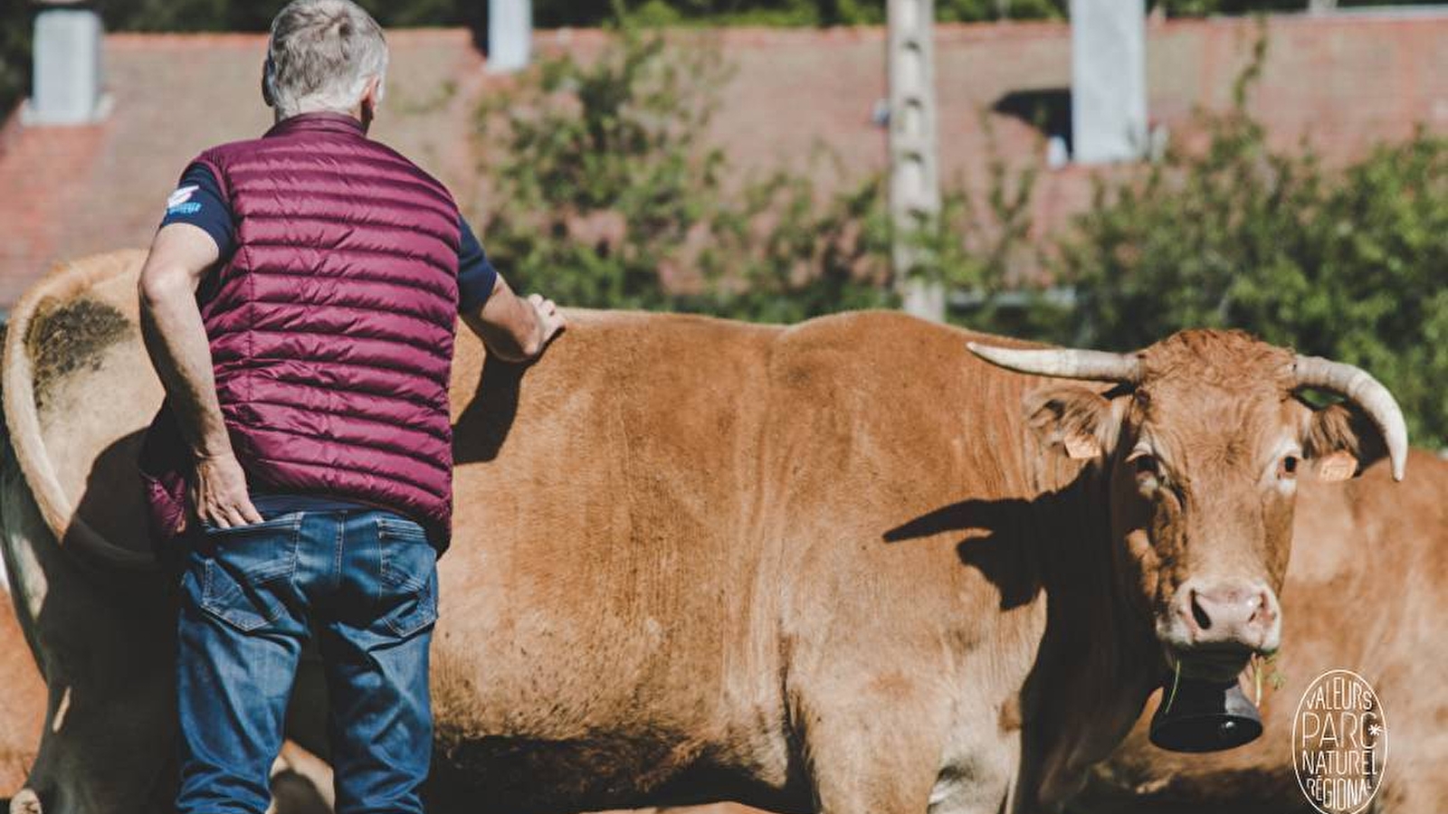 GAEC Piet / Thouverez