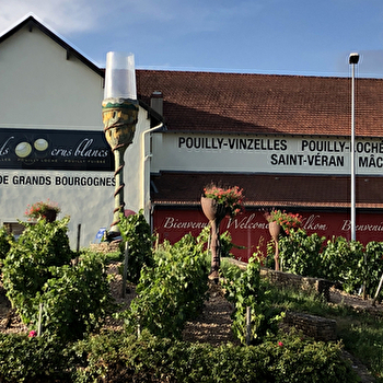 Lyon Winetours - ROMANECHE-THORINS