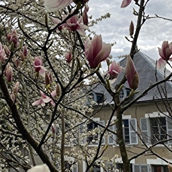 Le Petit Monde de Molly - TOUCY