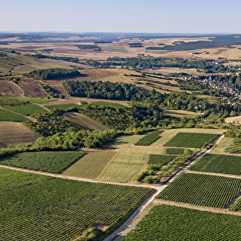 Visite guidée de Vincelottes - VINCELOTTES