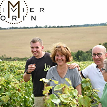 Morin Olivier - CHITRY