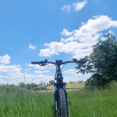 Circuit VTT n°10 - Lé prô, lé beû de Foissiat-Etrez (prés et bois)