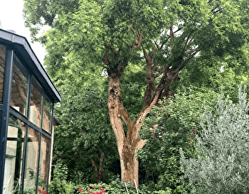 Les Jours Heureux - TONNERRE