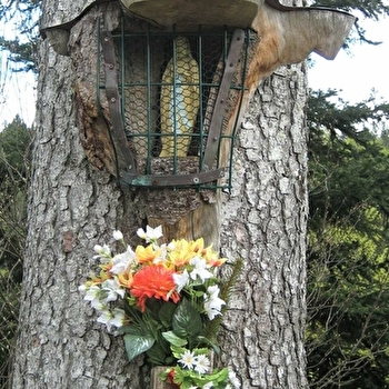 Epicéa-Oratoire Notre-Dame - LONGEVILLES-MONT-D'OR