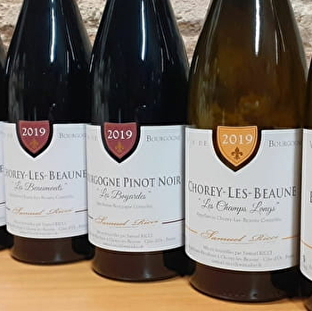 Ricci Samuel - CHOREY-LES-BEAUNE