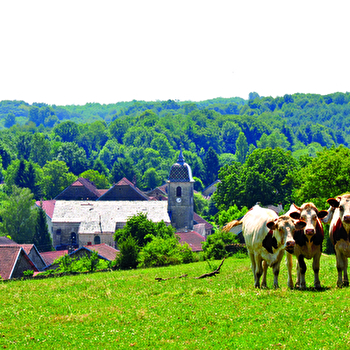 Le Mont du Chanois - ECHENOZ-LE-SEC