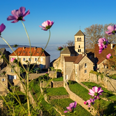 Le Vignoble du Château-Chalon