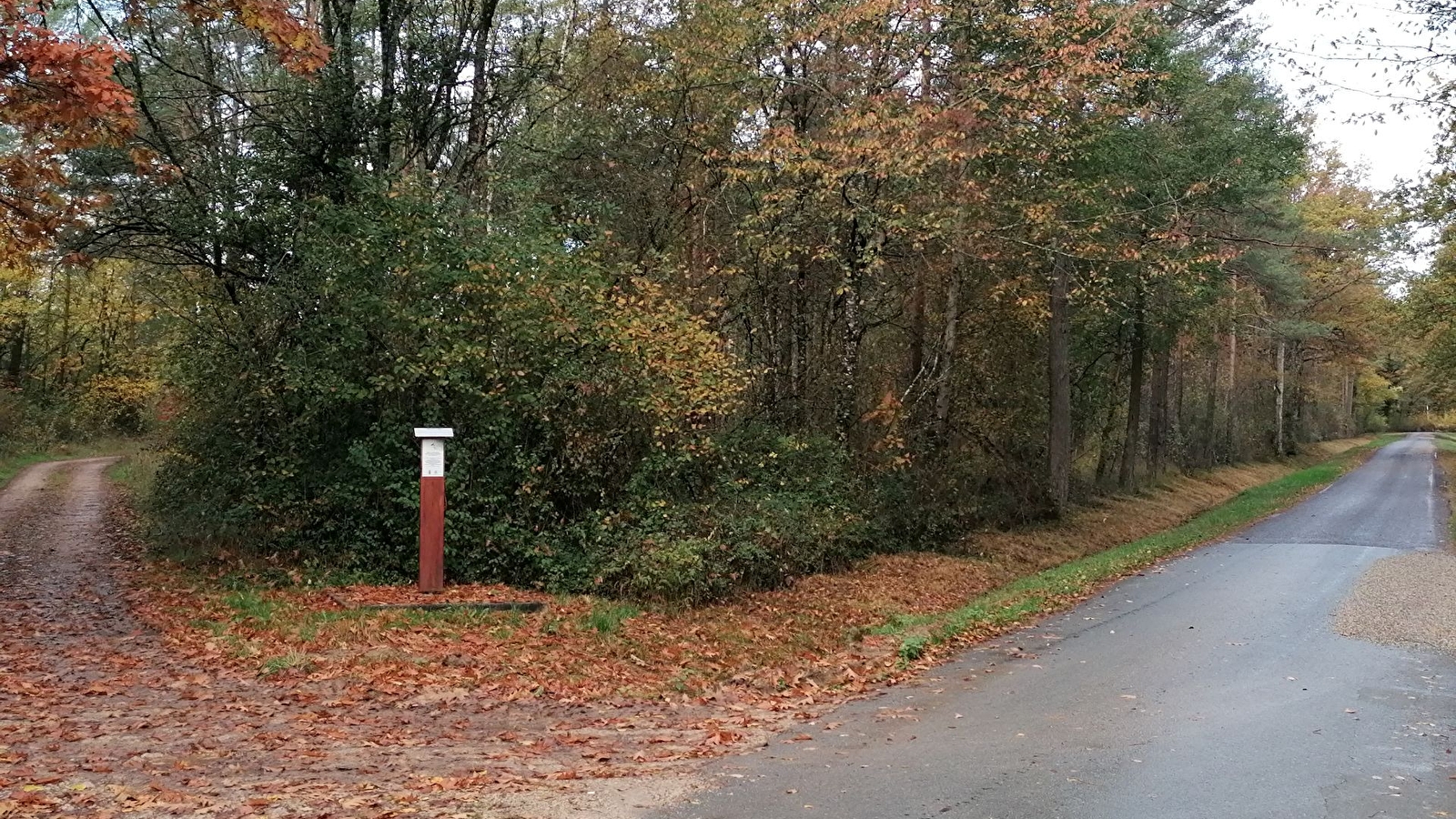 Lieu de parachutage - Seconde Guerre mondiale