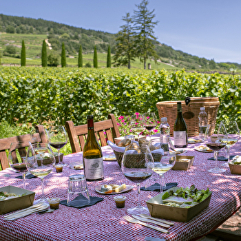 Les Climats & Pique-Nique - Château de la Crée - SANTENAY