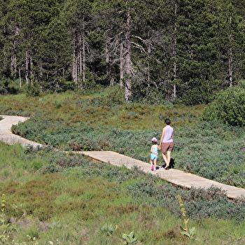 Sentier des Tourbières du Bief du Nanchez - NANCHEZ