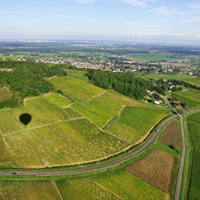Bourgogne Montgolfière