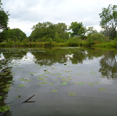 Circuit randonnée: Rendez-vous avec la Seille