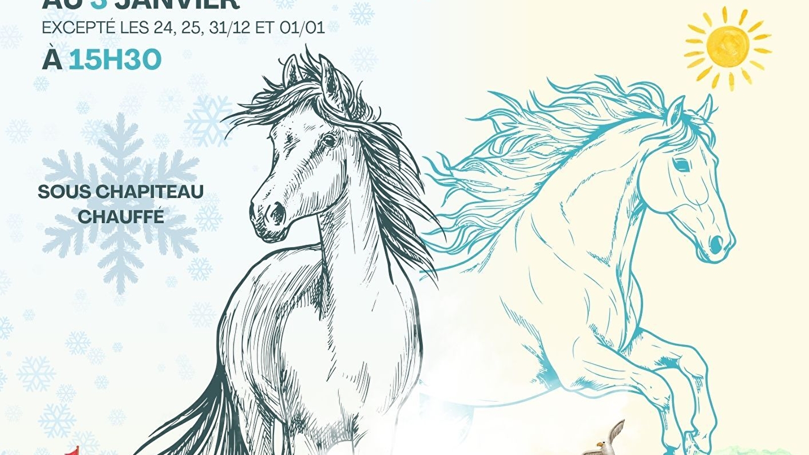 Spectacle Équestre de Noël