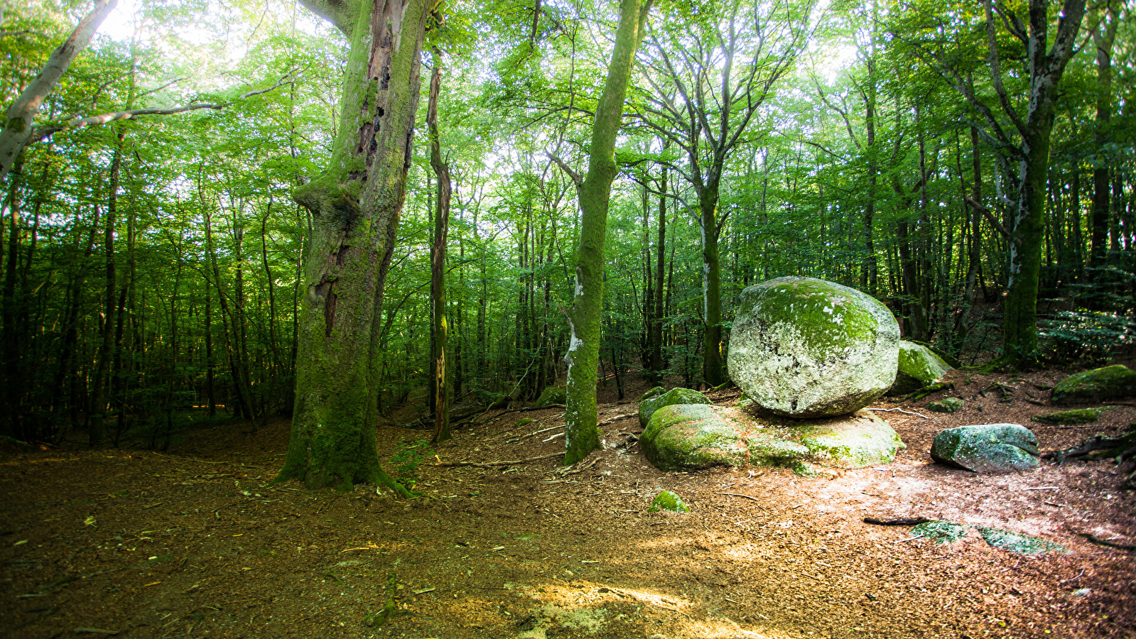 La pierre qui croule