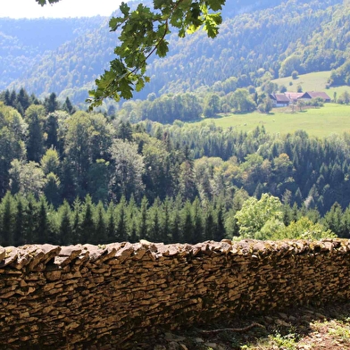 Mur-Mur(es) de pierres