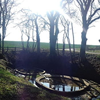 Circuit la Fontaine des Ormois - Lisey - SOING-CUBRY-CHARENTENAY