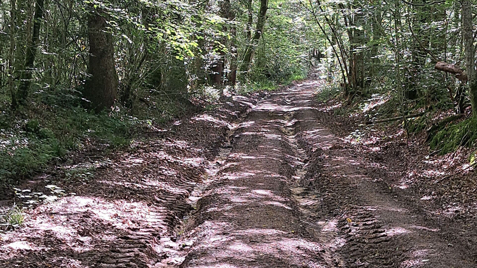 Randonnée accompagnée avec Amandine Chevallier, Guide-conférencière