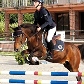 Haras du Cottard - ROGNY-LES-SEPT-ECLUSES
