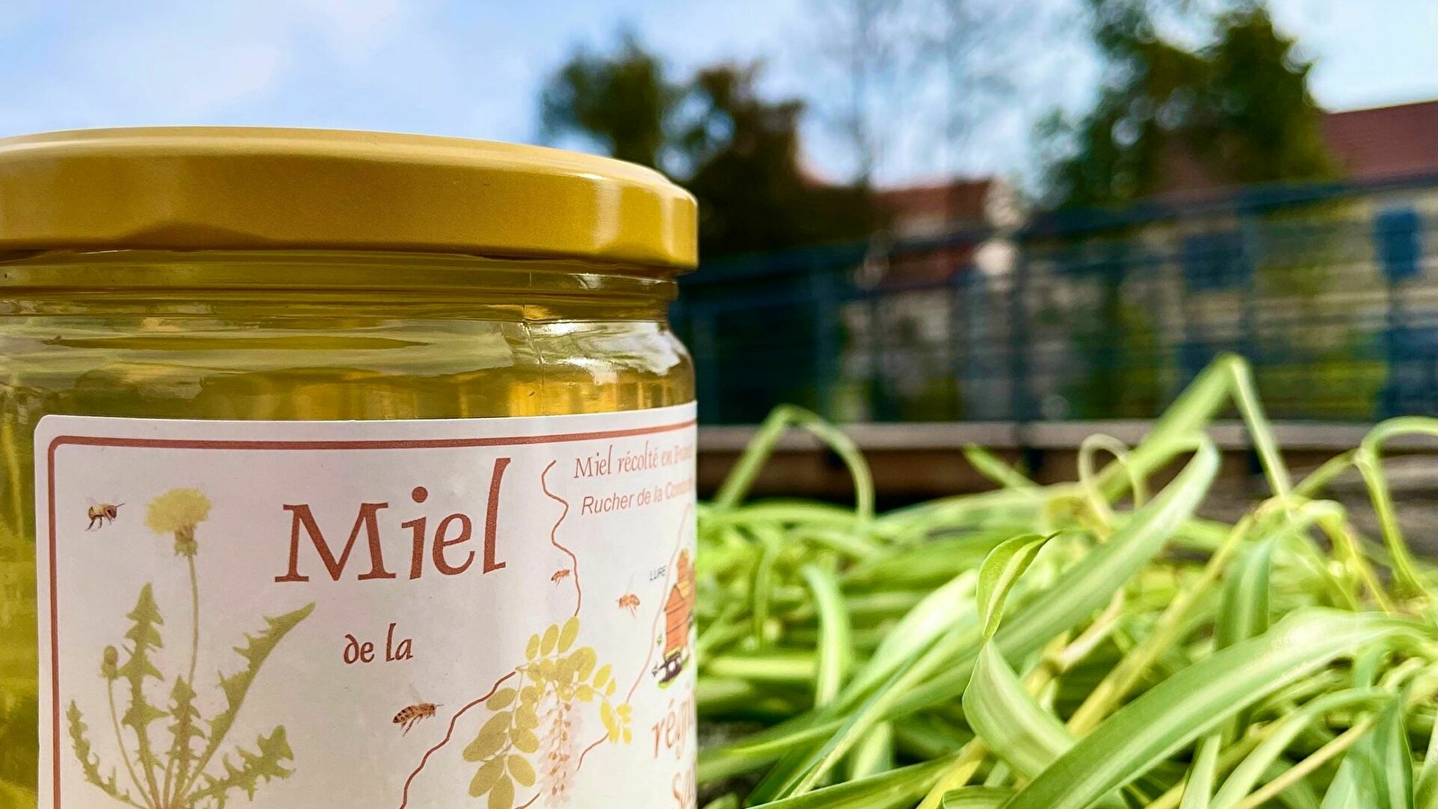 Miel de la Région Saônoise