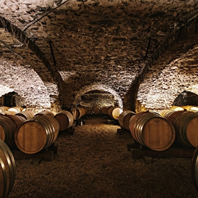 Du Château des Thorins au Château du Moulin-à-Vent