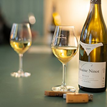 Domaine Ninot (Dégustation - Le Trio Ninot) - RULLY