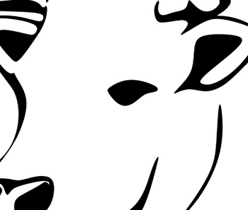 EARL De Beuvron - BEUVRON