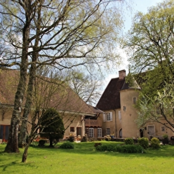 Le Détour - BUFFARD