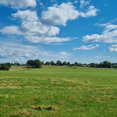 Circuit Gravel n°9 - Le bocage de Foissiat