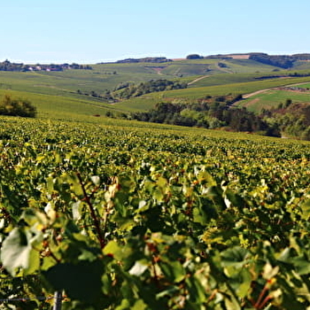 La rando Malivigne Aventure - MALIGNY