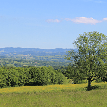 Boucle A8 : Les collines du Brionnais - IGUERANDE