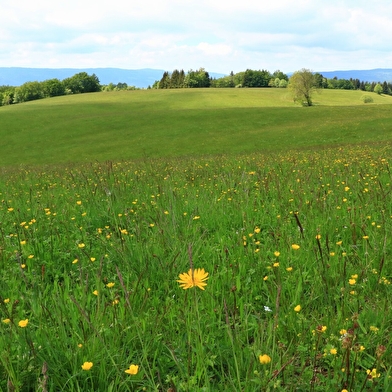 Circuit vélo : Le Tour du Valromey au départ des Plans d'Hotonnes