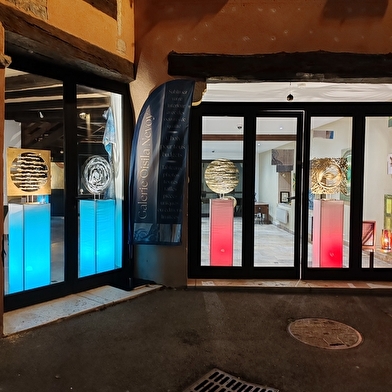 Galerie Oisila Nevoy