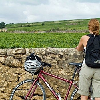Agence de Tourisme de Santenay - Location de vélos - SANTENAY
