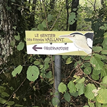 Le Sentier des étangs Vaillant, du Crêt et du Fort - CHAPELLE-VOLAND