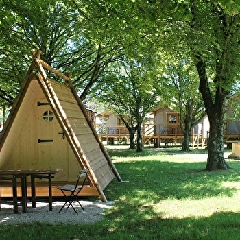 La Tulipe de Vigne - POLIGNY