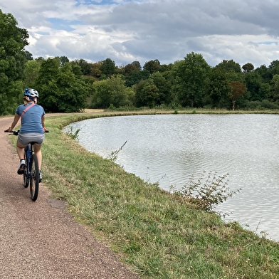 Le Canal du Nivernais
