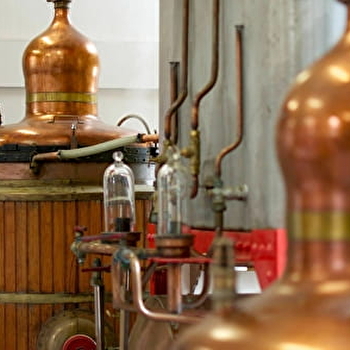 Visite - Distillerie historique d'absinthe - Les Fils d'Emile Pernot - LA CLUSE-ET-MIJOUX