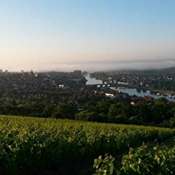 Lepage Christophe - CHAMPLAY