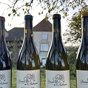 Portes ouvertes au Domaine de L'Aubraine - SAINT-GENGOUX-DE-SCISSE