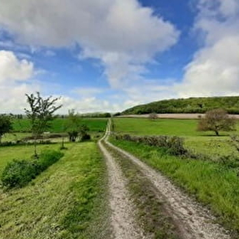 Circuit VTT 6 : Varzy-Oudan-Menou-Varzy - VARZY