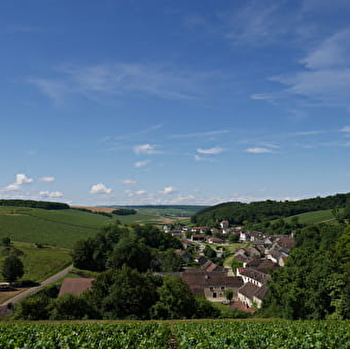 De Oliveira Lecestre - FONTENAY-PRES-CHABLIS