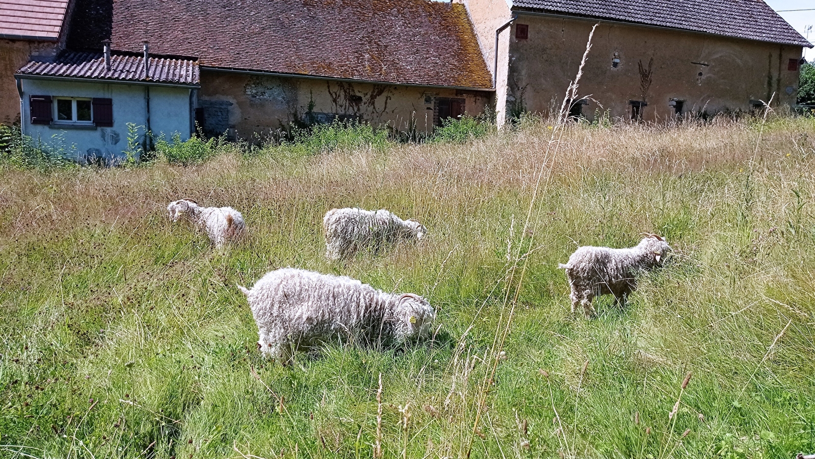La fermette de Vrinette