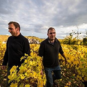 Domaine des Rabichattes - TRACY-SUR-LOIRE